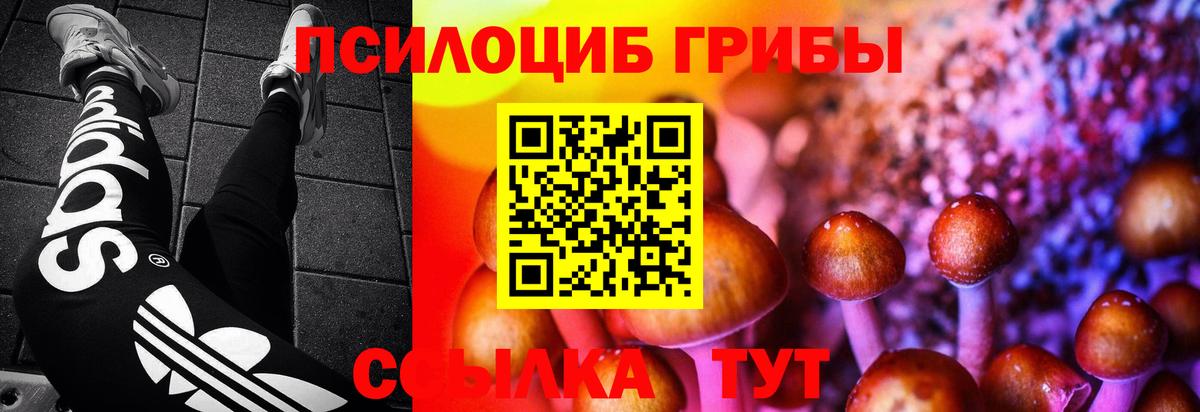 Псилоцибиновые грибы прущие грибы Выборг