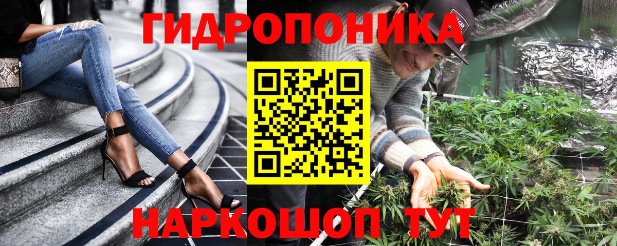 Канабис гибрид Выборг